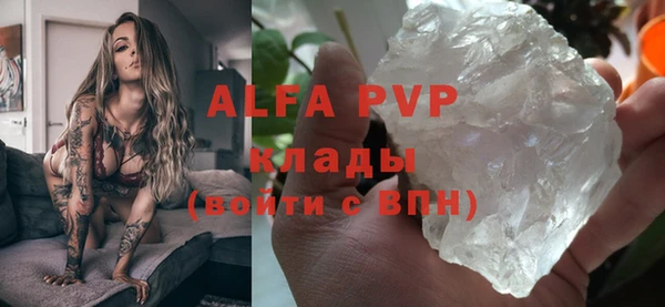 гашик Вяземский