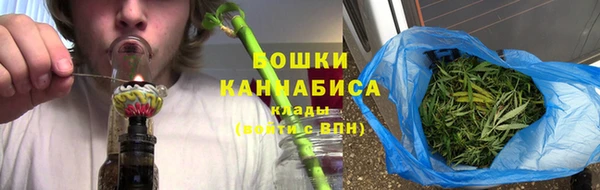 гашик Вяземский