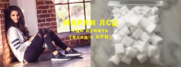 гашик Вяземский