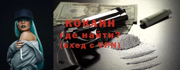 гашик Вяземский