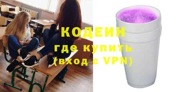 гашик Вяземский
