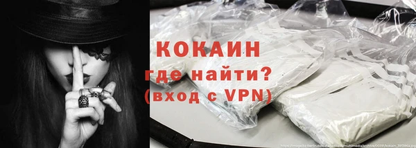 гашик Вяземский