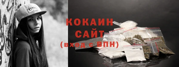 гашик Вяземский