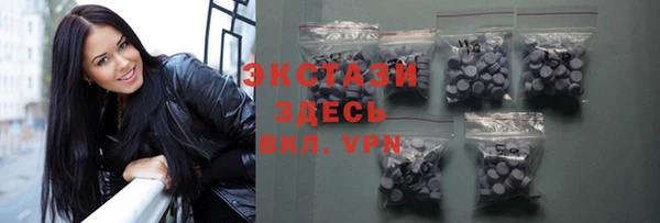 гашик Вяземский