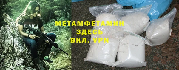 гашик Вяземский