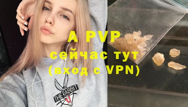 гашик Вяземский
