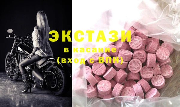 гашик Вяземский