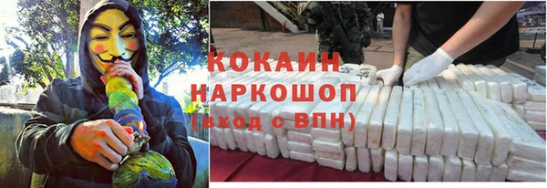 гашик Вяземский