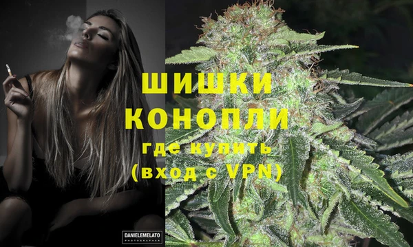 гашик Вяземский