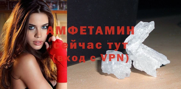 гашик Вяземский