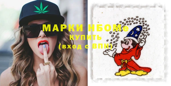 гашик Вяземский