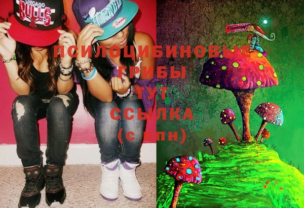 гашик Вяземский