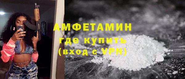 гашик Вяземский